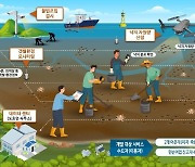 드론·인공지능으로 신안 낙지 자원 관리한다