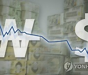 FOMC 경계감..원/달러 환율 0.5원 내린 1,180.8원 마감