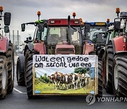 NETHERLANDS FARMERS PROTEST