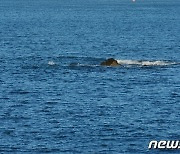 제주 4.9규모 지진..고리원전 "정상 가동 중"