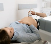 내년부터 임신·출산 지원금을 감기·치과진료에도 사용할 수 있다