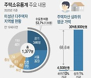 "금수저는 다르네".. 20세 이하 다주택자 1만5907명