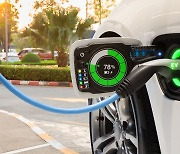"전기車 주행거리 20% 늘린다" 국내 연구진  '고용량 장수명' 배터리소재 개발
