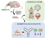 "엄마가 섭취한 초미세플라스틱, 모유 통해 자녀에게 전달"