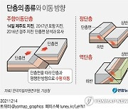 [그래픽] 단층의 종류와 이동 방향