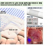 뇌 삽입 '고효율 투명전극' 값싸게 만든다