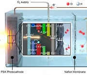 햇빛으로 과산화수소 만드는 고성능 광전극 개발