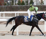 '올 최강 아마조네스 여왕들의 화려한 피날레!'..암말 대상경주의 주인공은?