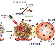 홍합·멍게 특성 모사 암세포만 집중 공격 나노항암제 개발