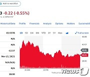 성장주 투매에도 루시드는 1.81% 하락에 그쳐 비교적 선방