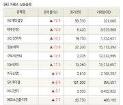 [fnRASSI]장마감, 거래소 상승 종목(SK케미칼우 17.9% ↑)