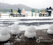 남부 아침까지 최고 5cm 눈..동해안·제주 강풍