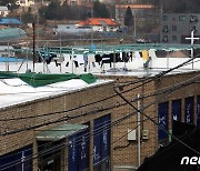 '목사·교인 전체 확진' 인천 선교센터 관리 허술.."터질게 터졌다"