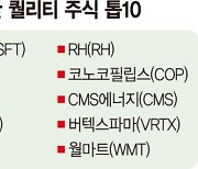 "美 조정장 온다..퀄리티주로 대응하라" [해외주식 인싸이트]