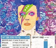 "NFT, 100배 성장하려면 6대 리스크 풀어야"