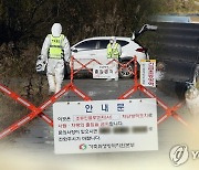 세종 산란계 농장서 고병원성 AI 의심사례 발생