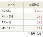 [fnRASSI]오늘의 상한가, SM C&C 30.0% ↑