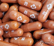 일본 내주부터 먹는 코로나 알약 치료제 사용