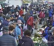 원주 농업인새벽시장 코로나19로 매출 타격..54억 판매 그쳐