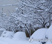 많이도 내렸네