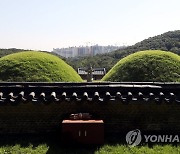 문화재위 '장릉 앞 아파트' 모레 재논의.."시뮬레이션안 검토"
