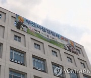 부산 사상구체육회 간부 음주운전 혐의로 경찰 수사