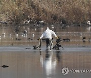 MIDEAST ISRAEL PHOTO SET BIRD FLU HULA NATURE RESERVE