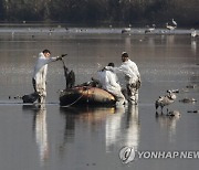 MIDEAST ISRAEL PHOTO SET BIRD FLU HULA NATURE RESERVE