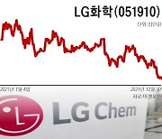 [데스크의 눈]누굴 위한 물적분할인가