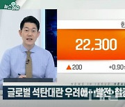 (영상)글로벌 석탄대란 우려에..발전·철강·시멘트 업계 '초긴장'