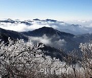 [포토] 무주 덕유산, 상고대 눈꽃 절정