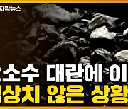 [자막뉴스] 요소수 대란에 이어 이번엔..새해 벽두부터 심상치 않은 상황