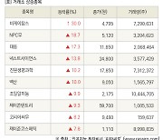 [fnRASSI]장마감, 거래소 상승 종목(비케이탑스 30.0% ↑)