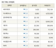 [fnRASSI]장마감, 거래소 하락 종목(씨아이테크 -6.2% ↓)