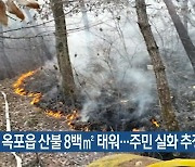 대구 옥포읍 산불 8백㎡ 태워..주민 실화 추정