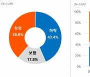 시민에게 집값 묻자..하락 43.4% vs 상승 38.8% '팽팽'