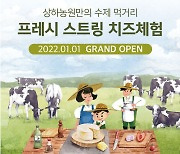 상하농원, 내 손으로 직접 만드는 '프레시 스트링치즈 체험' 운영