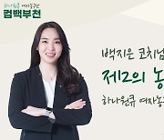 하나원큐, 5일 BNK와 홈경기서 백지은 코치 은퇴식