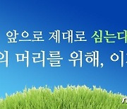 "'탈모약 공약' 지키면 링컨 와도 이재명 뽑는다"..李, 소확행으로 추진