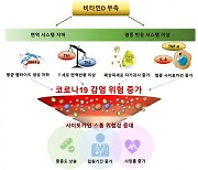 비타민D 부족하면 코로나19 발병 위험·중증도 악화시켜