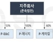 포스코, 특별결의 정관 신설.."자회사 상장 안할 것"