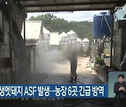춘천 원창리, 야생멧돼지 ASF 발생..농장 6곳 긴급 방역