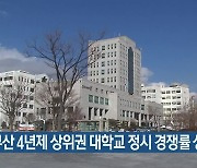 부산 4년제 상위권 대학교 정시 경쟁률 상승