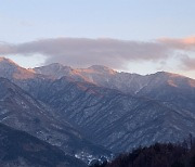 충격적인 이장 선거, 이들은 이게 편할지도 모른다