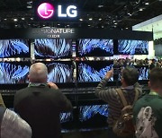 LG는 왜 CES 현장 대신 온라인 집중할까?..TV 전쟁 '앙숙에서 동맹?'