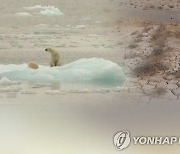 부산창의융합교육원, '기후위기·생태적 전환' 교사 연수