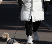 2월 11일부터 반려견 동반 외출 시에는..