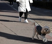 2월 11일부터 반려견 동반 외출 시에는..