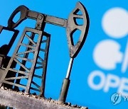OPEC+, 2월에도 기존 하루 40만 배럴 증산 방침 유지