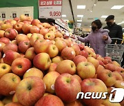 사과·배·굴비 설 선물세트 싸졌다